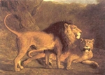lion and lioness - Agasse