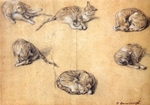 six studies of a cat