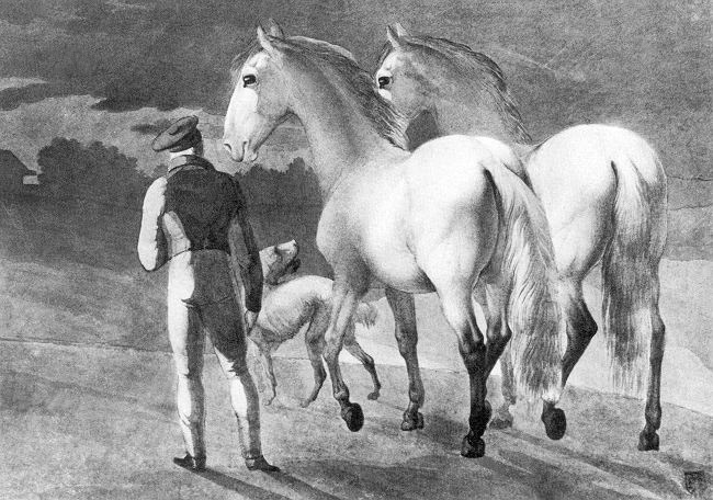 Stable boy with two grey horses